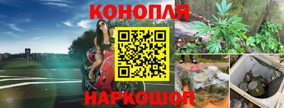 стафф Шелехов