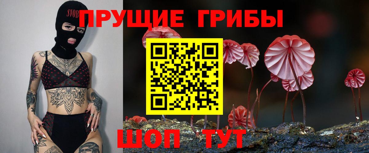 Рыбинск  Галлюциногенные грибы прущие грибы  Галлюциногенные грибы мицелий  Вход с VPN 